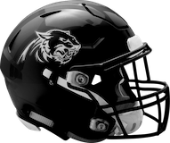 Samuel S. Fels Panthers logo